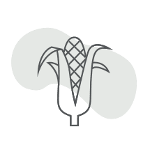 Plant Derived PLA Fiber