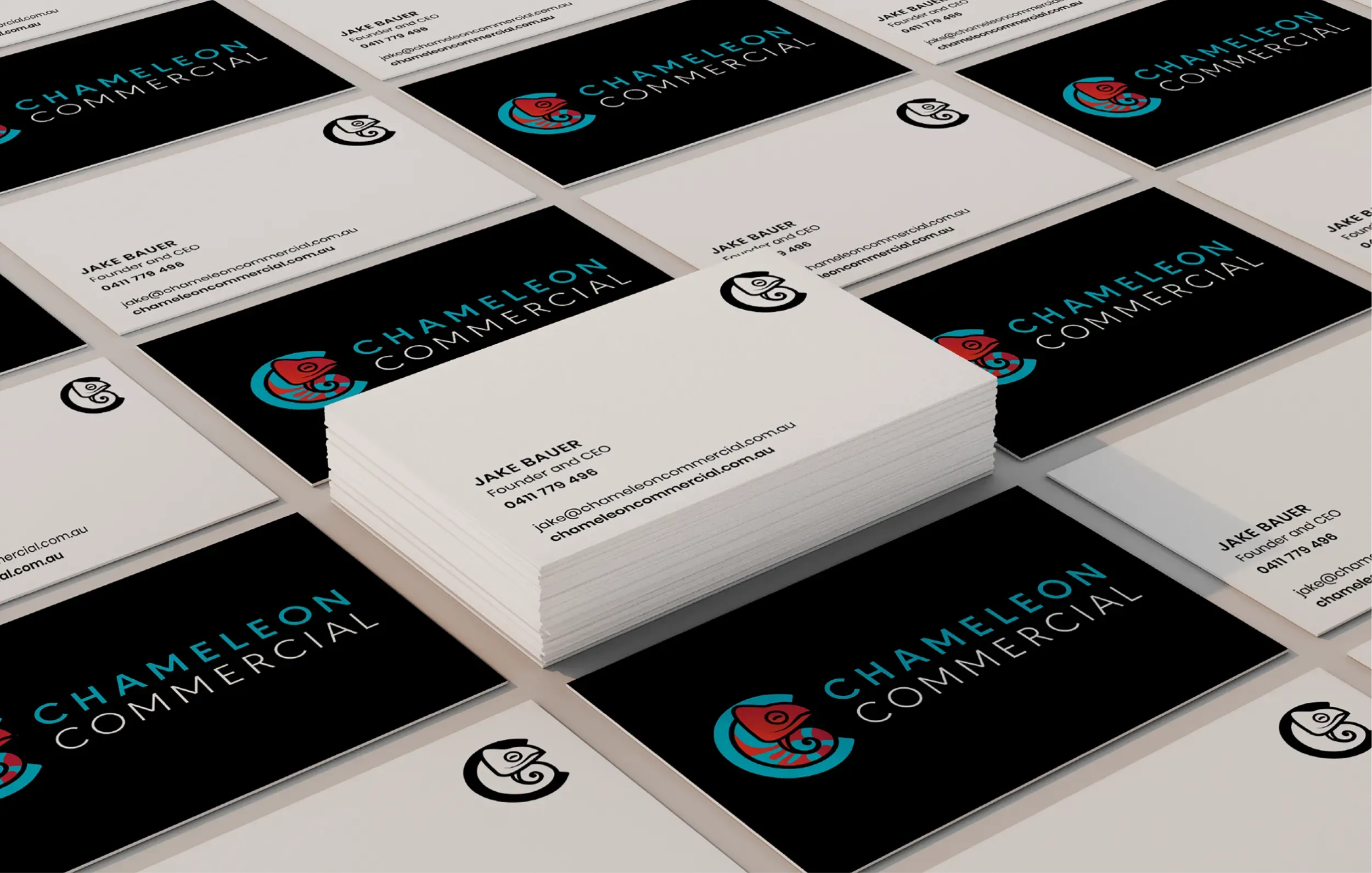 Chameleon Commercial Logo Design