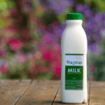 Branding, Labeling, and Packaging Design for The Pines