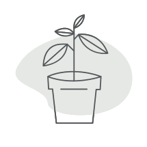 Our Office Practices